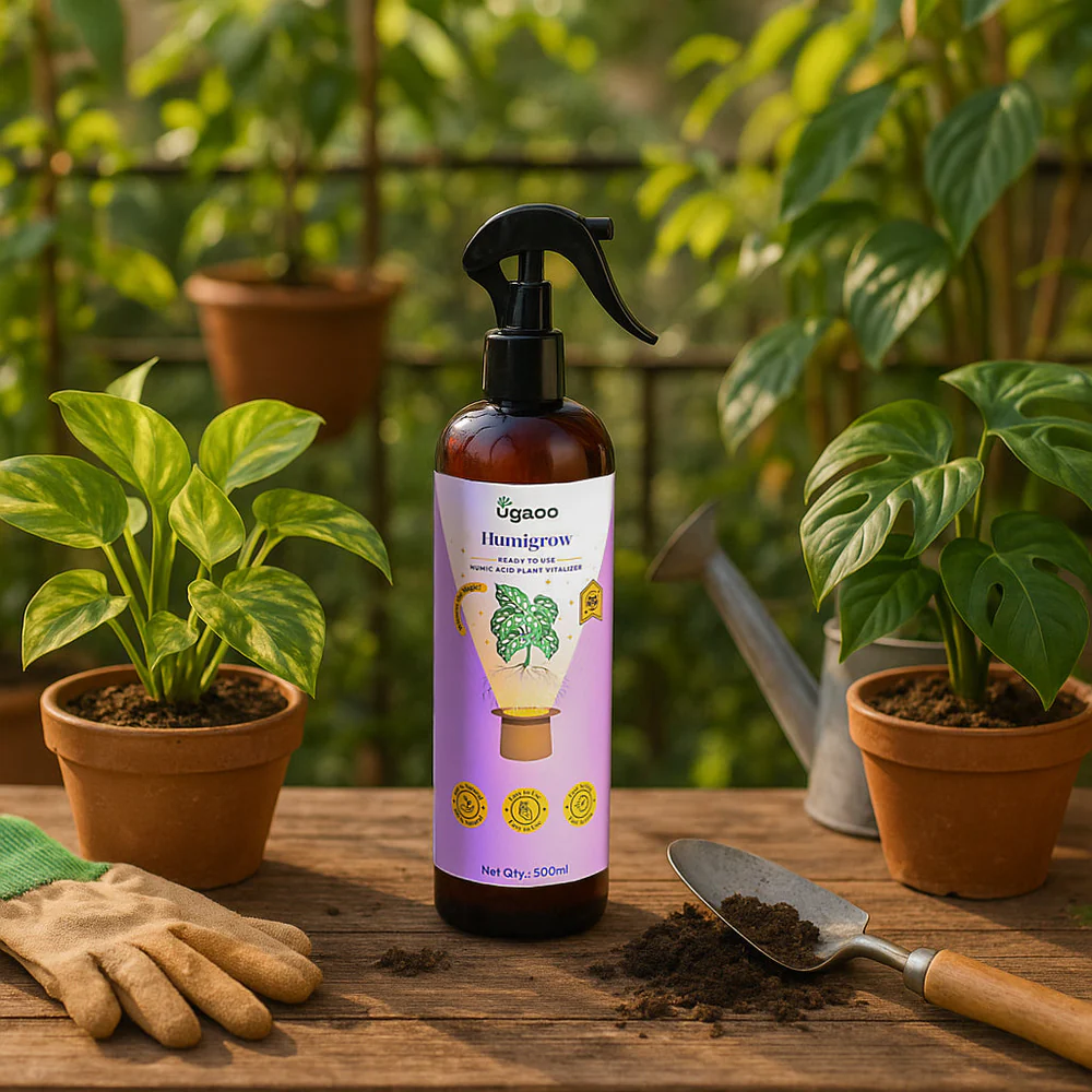 insect spray